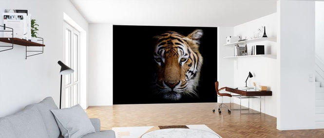 PHOTOWALL / Tiger (e315902)