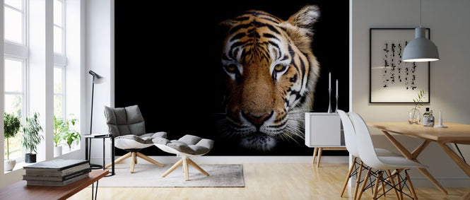 PHOTOWALL / Tiger (e315902)