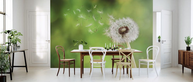 PHOTOWALL / Dandelion (e315908)