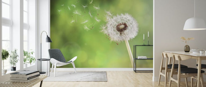 PHOTOWALL / Dandelion (e315908)