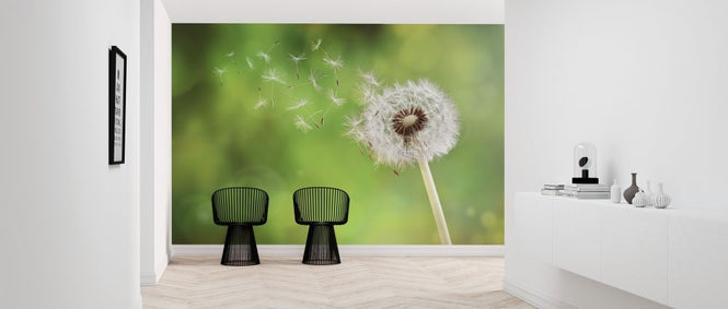 PHOTOWALL / Dandelion (e315908)