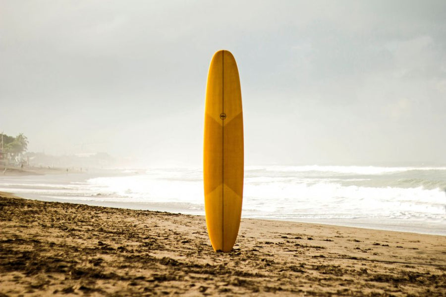 PHOTOWALL / Surfboard (e315573)