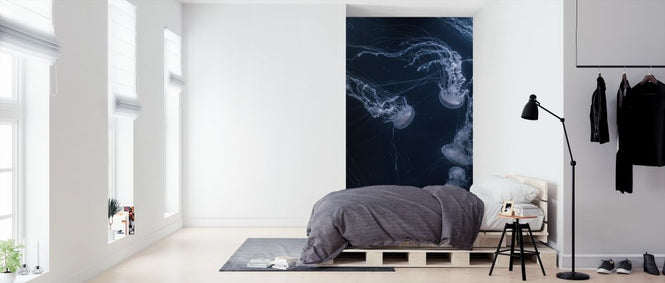 PHOTOWALL / White Jellyfish (e315577)