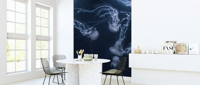PHOTOWALL / White Jellyfish (e315577)