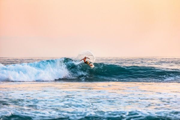 PHOTOWALL / Surfing (e315590)