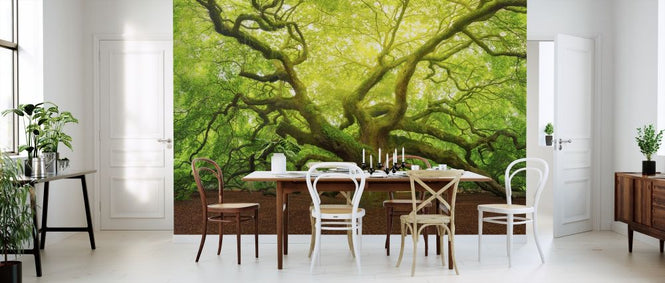 PHOTOWALL / Angel Oak (e316043)