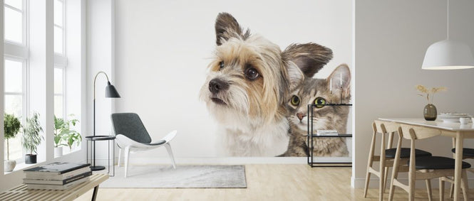 PHOTOWALL / Cat and Dog (e316048)