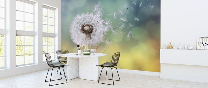 PHOTOWALL / Dandelion Clock (e316050)