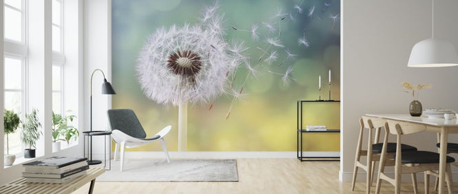 PHOTOWALL / Dandelion Clock (e316050)