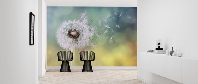 PHOTOWALL / Dandelion Clock (e316050)