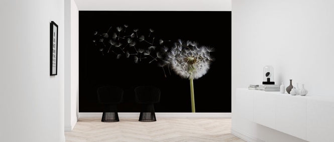 PHOTOWALL / Dandelion Seeds in the Wind (e316056)