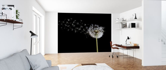 PHOTOWALL / Dandelion Seeds in the Wind (e316056)