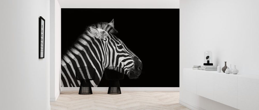 PHOTOWALL / Zebra Portrait (e316073)
