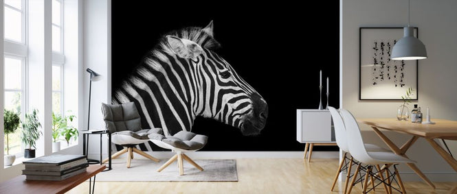 PHOTOWALL / Zebra Portrait (e316073)