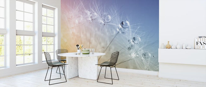 PHOTOWALL / Drops on Dandelion Seed (e316074)