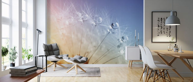 PHOTOWALL / Drops on Dandelion Seed (e316074)