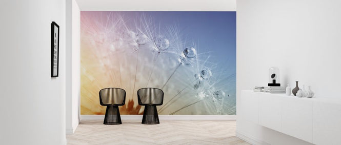 PHOTOWALL / Drops on Dandelion Seed (e316074)