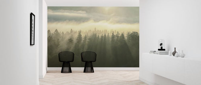 PHOTOWALL / Wooded Mountans Fog (e316100)