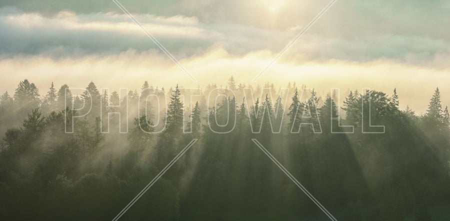 PHOTOWALL / Wooded Mountans Fog (e316100)