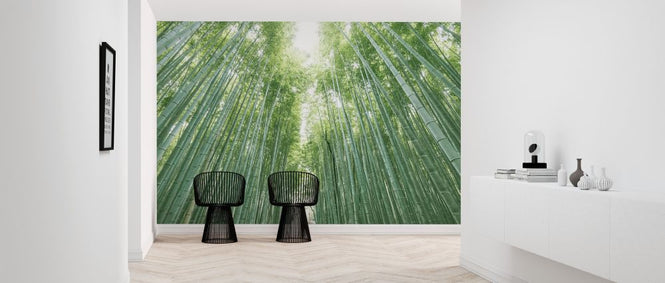 PHOTOWALL / Bamboo Forest (e316105)