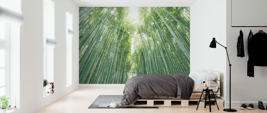 PHOTOWALL / Bamboo Forest (e316105)