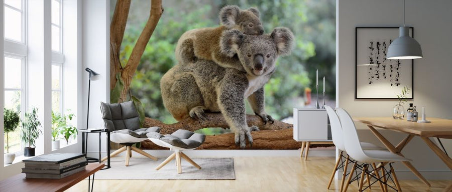 PHOTOWALL / Koala with Baby (e316106)