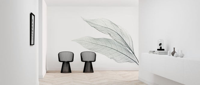 PHOTOWALL / Skeleton Leaf (e316114)