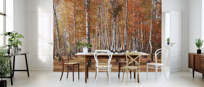 PHOTOWALL / White Birches Trees (e316116)