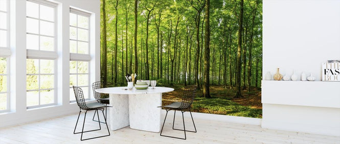 PHOTOWALL / Green Beech Forest (e316123)