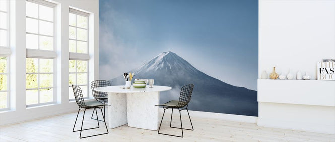 PHOTOWALL / Mount Fuji (e316136)