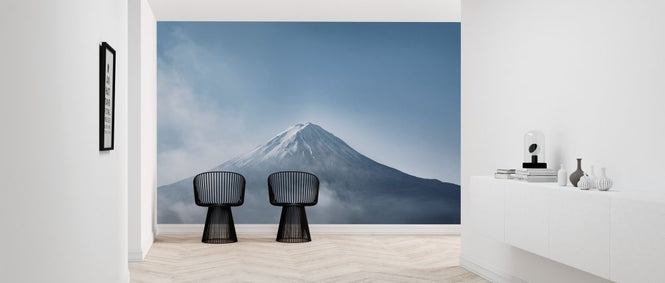 PHOTOWALL / Mount Fuji (e316136)