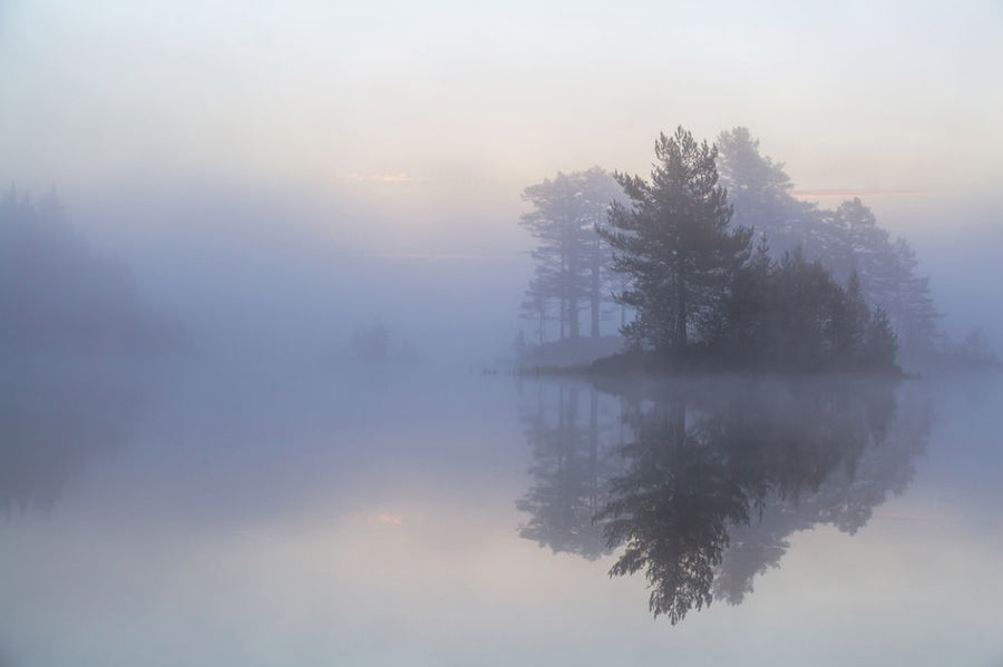 PHOTOWALL / Foggy Morning (e316144)