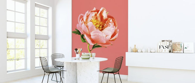 PHOTOWALL / Peony on Coral (e316149)