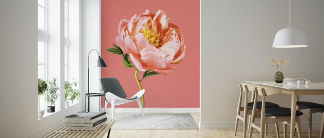 PHOTOWALL / Peony on Coral (e316149)