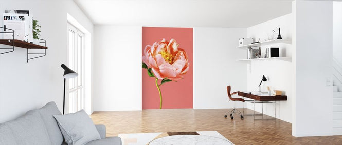 PHOTOWALL / Peony on Coral (e316149)