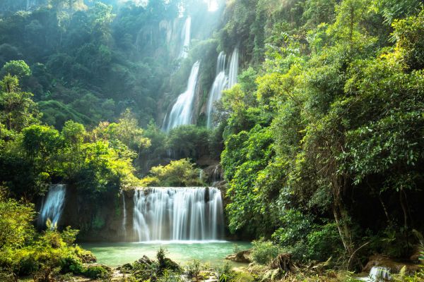 PHOTOWALL / Waterfall in Summer (e316154)