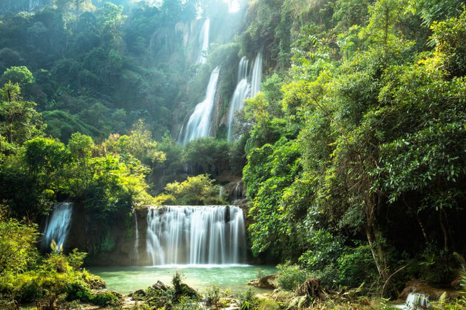 PHOTOWALL / Waterfall in Summer (e316154)