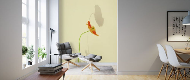 PHOTOWALL / Orange Poppy (e316159)