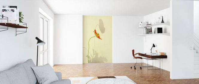 PHOTOWALL / Orange Poppy (e316159)