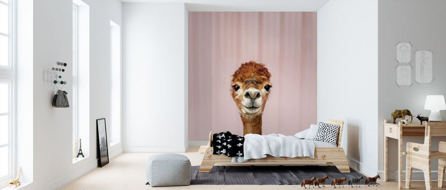 PHOTOWALL / Alpaca Portrait (e316160)