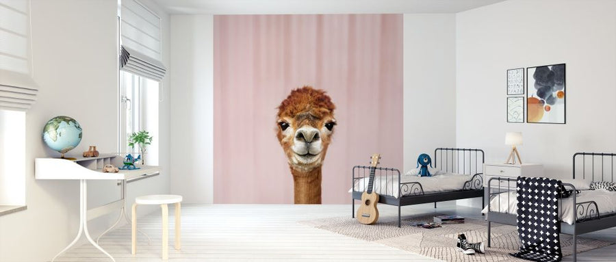 PHOTOWALL / Alpaca Portrait (e316160)