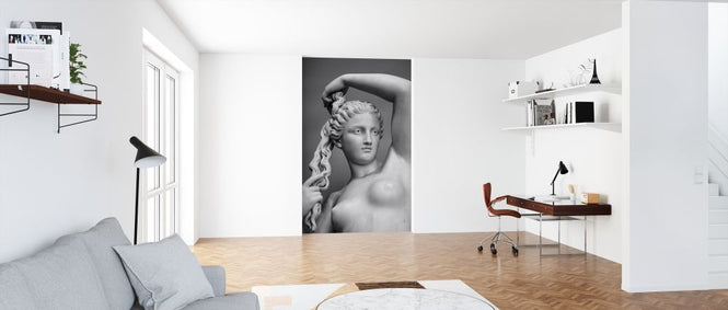 PHOTOWALL / Love Goddess (e316341)