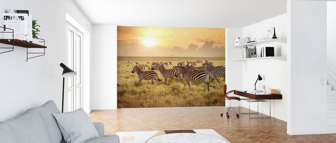PHOTOWALL / Zebras in the Morning (e316468)