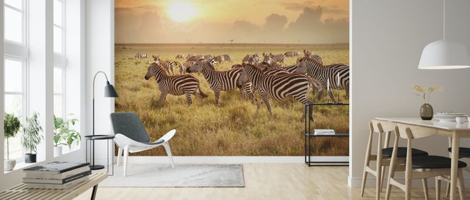 PHOTOWALL / Zebras in the Morning (e316468)