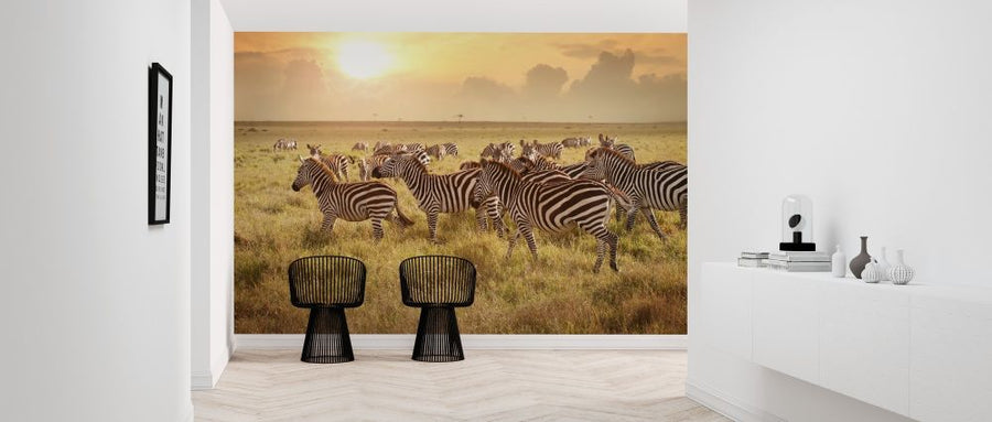 PHOTOWALL / Zebras in the Morning (e316468)