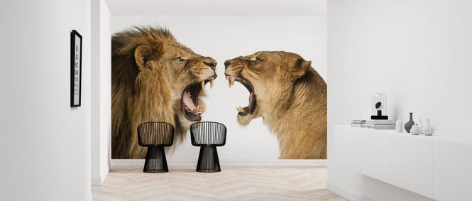 PHOTOWALL / Roaring Lion and Lioness (e316471)
