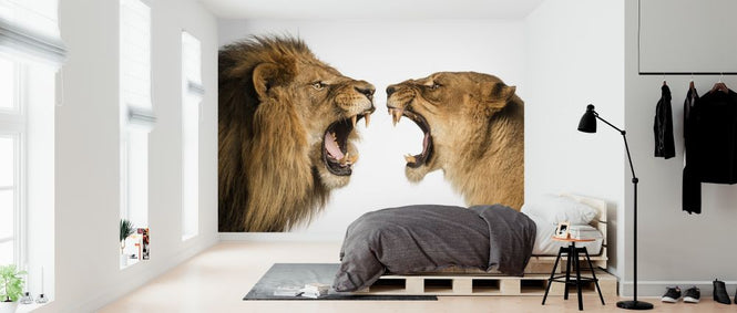 PHOTOWALL / Roaring Lion and Lioness (e316471)