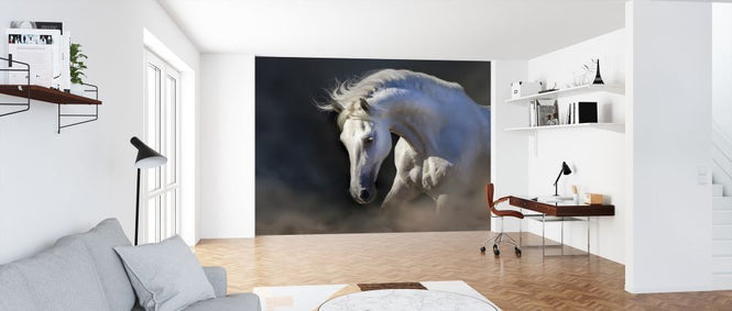 PHOTOWALL / Horse Portrait (e316473)