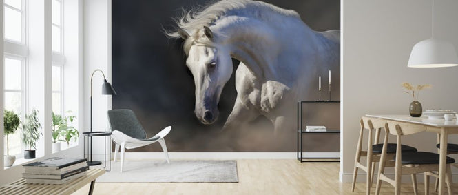 PHOTOWALL / Horse Portrait (e316473)