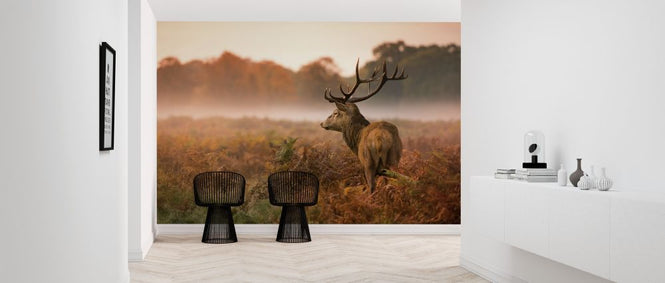 PHOTOWALL / Red Deer Stag (e316475)